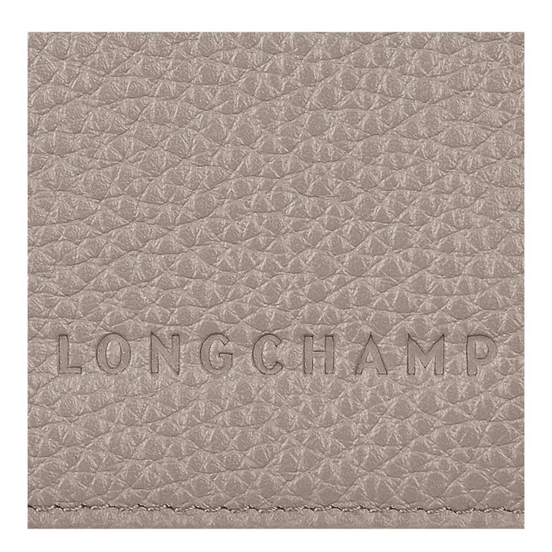 long champ Le FoulonnÉ Passport cover Leather Férfi Pouches Turtledove | HUTC7285